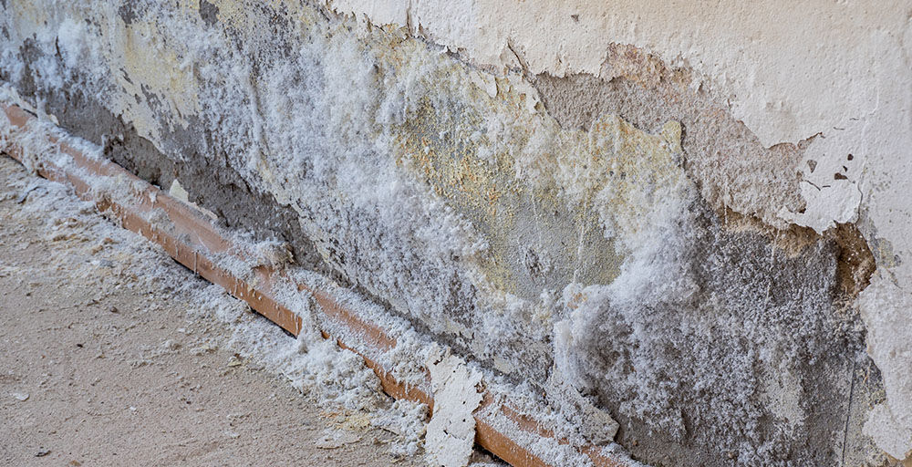 Humedades por Capilaridad